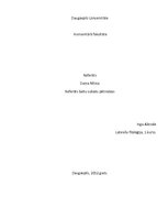 Referāts 'Daina Nītiņa', 1.