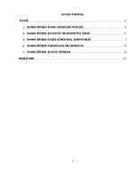 Referāts 'Daina Nītiņa', 2.