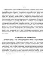 Referāts 'Daina Nītiņa', 3.