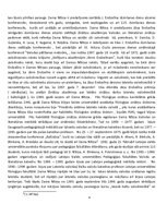 Referāts 'Daina Nītiņa', 4.