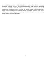 Referāts 'Daina Nītiņa', 12.