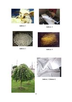 Referāts 'Zīds', 14.