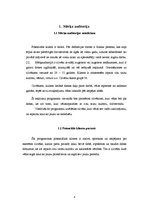 Biznesa plāns 'Ceļojuma vērtības aprēķināšana', 4.