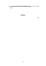 Biznesa plāns 'Ceļojuma vērtības aprēķināšana', 32.