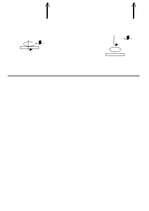 Konspekts 'Stafete "Veiklie vēži"', 3.