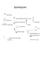 Konspekts 'Stafete "Veiklie vēži"', 4.