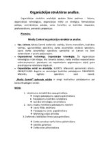 Referāts 'Organizācijas struktūras analīze', 1.