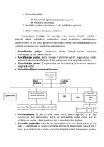Referāts 'Organizācijas struktūras analīze', 2.