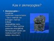 Prezentācija 'Akmeņogles', 2.