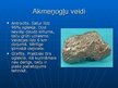 Prezentācija 'Akmeņogles', 6.