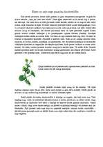 Konspekts 'Ezeru un upju augu pasaules daudzveidība', 1.