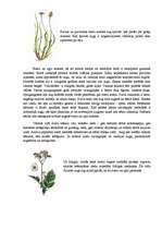 Konspekts 'Ezeru un upju augu pasaules daudzveidība', 2.