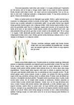 Konspekts 'Ezeru un upju augu pasaules daudzveidība', 3.