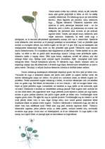 Konspekts 'Ezeru un upju augu pasaules daudzveidība', 4.