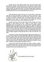 Konspekts 'Ezeru un upju augu pasaules daudzveidība', 5.