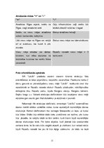 Biznesa plāns 'SIA "Lācīši" viesu māja, foto orientēšanās', 15.