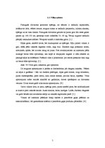 Referāts 'Pelēkais vilks', 6.