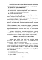 Referāts 'Uzņēmuma "ABC" mārketinga organizācijas analīze', 7.