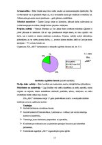 Referāts 'Uzņēmuma "ABC" mārketinga organizācijas analīze', 13.