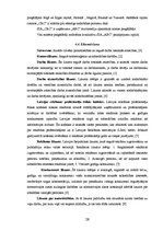 Referāts 'Uzņēmuma "ABC" mārketinga organizācijas analīze', 28.