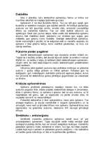 Referāts 'Spilveni interjerā', 3.