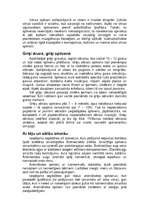 Referāts 'Spilveni interjerā', 5.