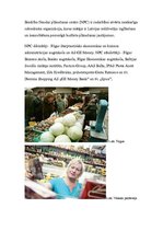 Referāts 'Iepirkšanās māksla', 28.