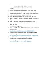 Referāts 'Uzņēmuma X konkurētspējas paaugstināšanas virzieni', 29.