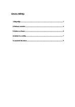 Referāts 'Neils Smelsers', 2.