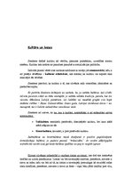 Referāts 'Neils Smelsers', 7.