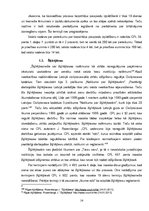 Diplomdarbs 'Saistību piespiedu izpildīšana brīdinājuma kārtībā', 14.