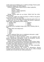 Referāts 'Uzņēmumu vadīšana', 5.