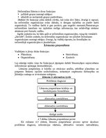 Referāts 'Uzņēmumu vadīšana', 7.