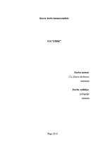 Biznesa plāns 'Interneta lapas biznesa plāns', 1.