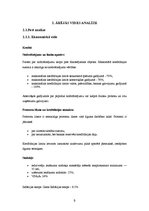 Biznesa plāns 'Interneta lapas biznesa plāns', 9.