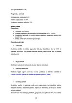 Biznesa plāns 'Interneta lapas biznesa plāns', 12.