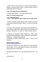 Biznesa plāns 'Interneta lapas biznesa plāns', 16.