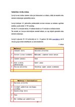 Biznesa plāns 'Interneta lapas biznesa plāns', 18.