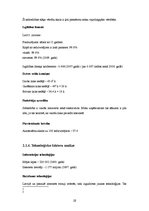 Biznesa plāns 'Interneta lapas biznesa plāns', 19.