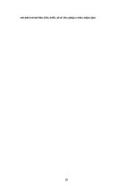 Biznesa plāns 'Interneta lapas biznesa plāns', 20.