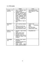 Biznesa plāns 'Interneta lapas biznesa plāns', 21.