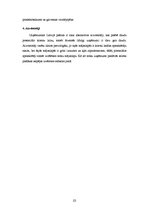 Biznesa plāns 'Interneta lapas biznesa plāns', 23.