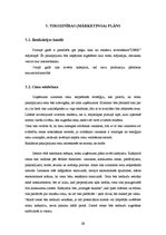 Biznesa plāns 'Interneta lapas biznesa plāns', 28.