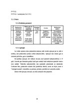 Biznesa plāns 'Interneta lapas biznesa plāns', 29.