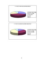 Biznesa plāns 'Interneta lapas biznesa plāns', 30.
