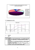 Biznesa plāns 'Interneta lapas biznesa plāns', 31.