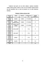 Biznesa plāns 'Interneta lapas biznesa plāns', 33.