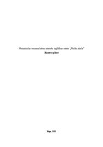 Biznesa plāns 'Biznesa plāns pirmsskolas vecuma bērnu interešu izglītības iestādei', 1.