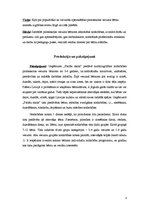 Biznesa plāns 'Biznesa plāns pirmsskolas vecuma bērnu interešu izglītības iestādei', 4.