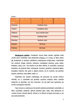 Biznesa plāns 'Biznesa plāns pirmsskolas vecuma bērnu interešu izglītības iestādei', 5.